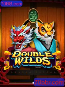 DoubleWilds: O Novo Fenômeno de Jogos
